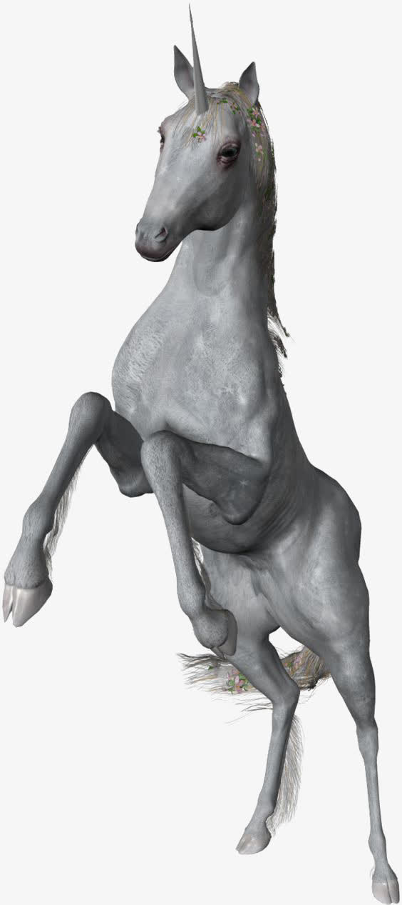 独角兽免抠