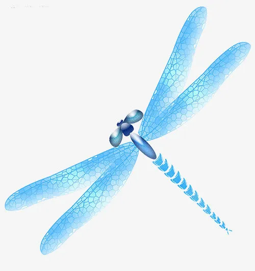 蓝色蜻蜓免抠