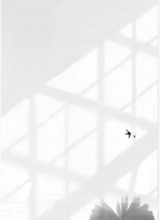 黑影白墙书影光影图高清