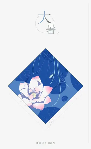 节气之大暑免抠