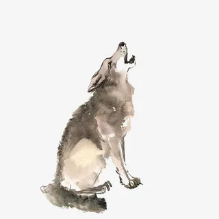 中国风水墨水彩狼免抠