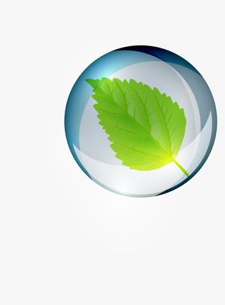 卡通薄荷叶水滴免抠