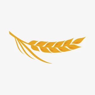 金色，麦穗，丰收，素材免抠