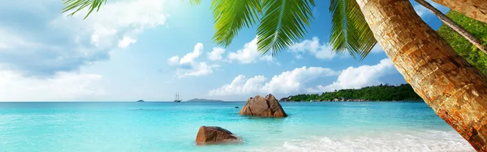 热带雨林沙滩淘宝海报背景高清