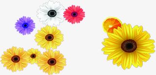 彩色卡通设计花朵春天免抠