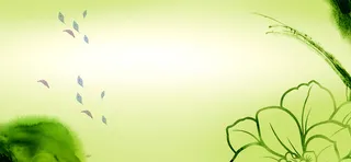 简约花瓣手绘绿色banner背景高清