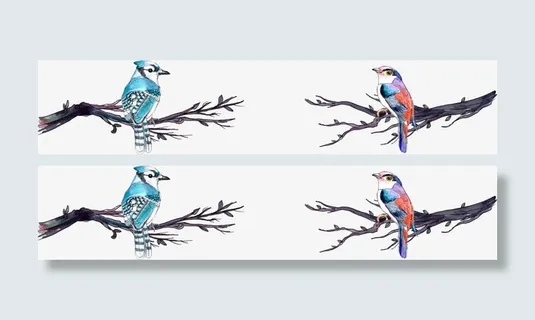 水彩小鸟分割线免抠