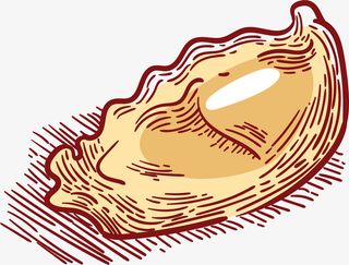 黄色手绘的包子饺子免抠