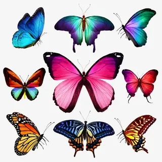 彩色蝴蝶花蝴蝶免抠