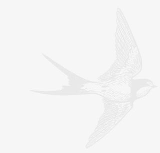 创意合飞翔的小燕子免抠