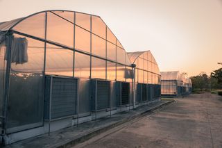 大棚专业背景高清