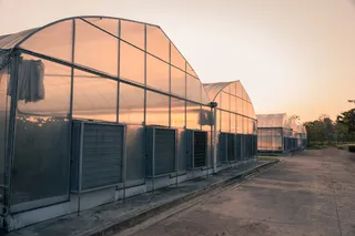 大棚专业背景高清