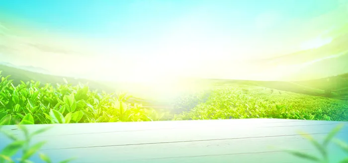 夏季风景绿色淘宝海报背景高清