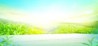 夏季风景绿色淘宝海报背景高清