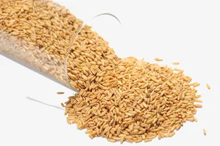 玻璃管燕麦免抠