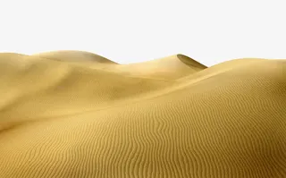 黄色沙漠免抠