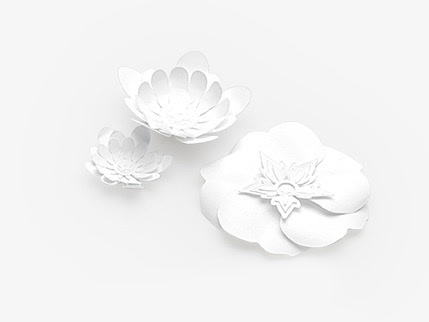 白色花瓣png素材免抠
