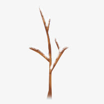 冬季积雪的树免抠