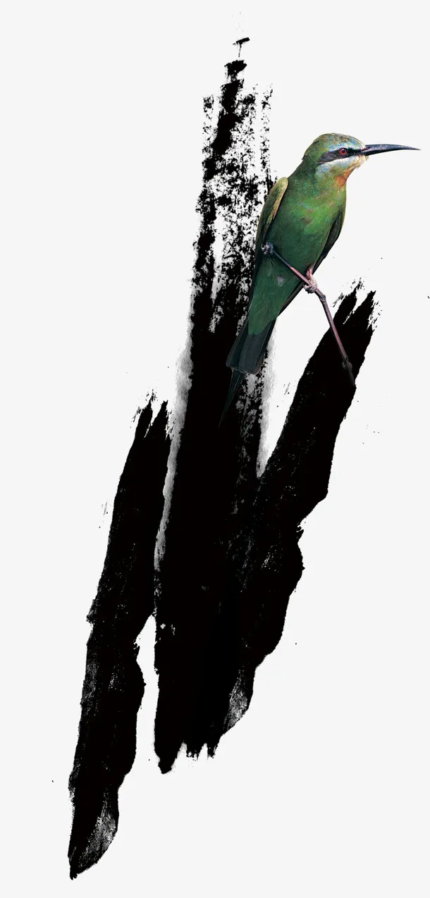 PS   笔刷   图集 古风17免抠
