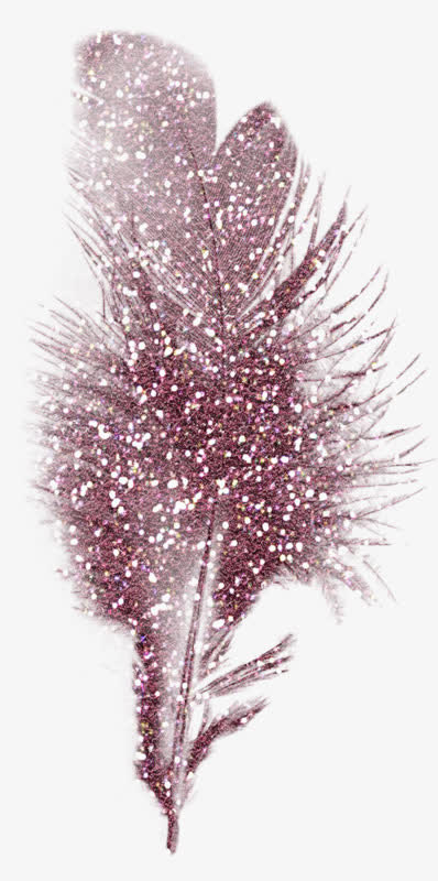 羽毛雪花免抠