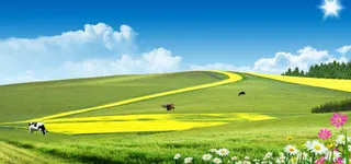 蓝天白云奶牛牛奶广告免抠