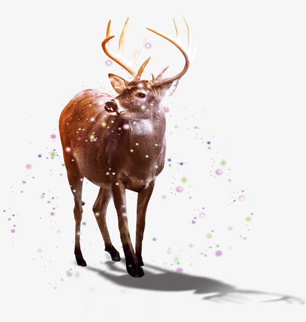 梦幻麋鹿免抠