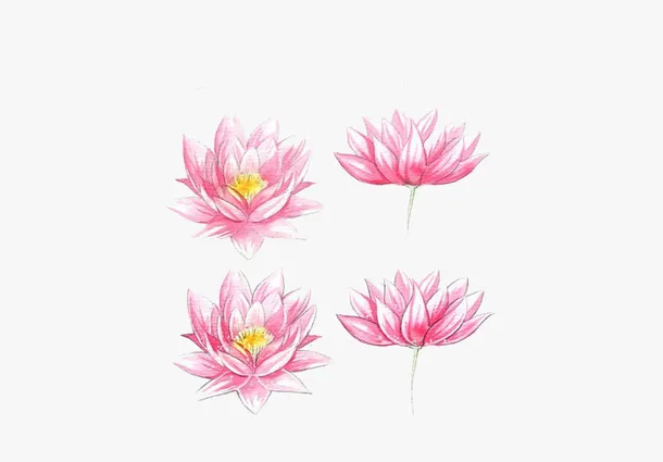 精美手绘水彩中国风莲花荷花素材免抠