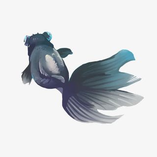 鱼免抠