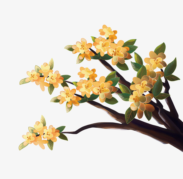 中秋金秋桂花树手绘免抠