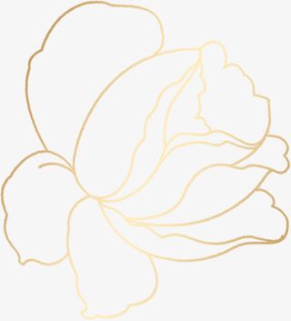 黄色渐变线条花朵免抠