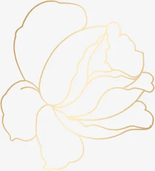 黄色渐变线条花朵免抠