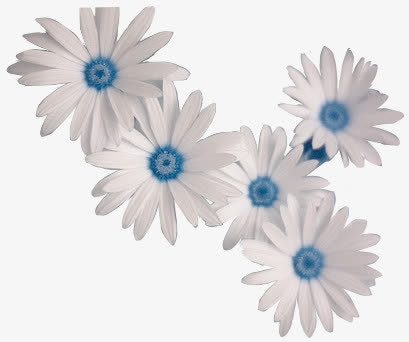花免抠