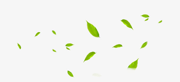小清新绿色植物树叶飞舞效果免抠