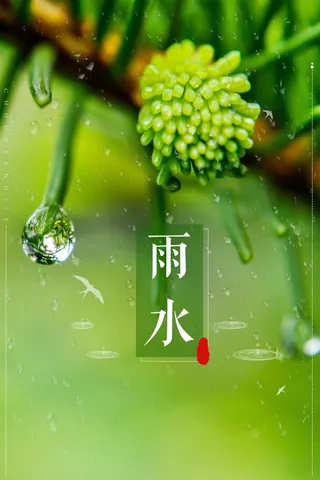 传统二十四节气雨水背景模板高清