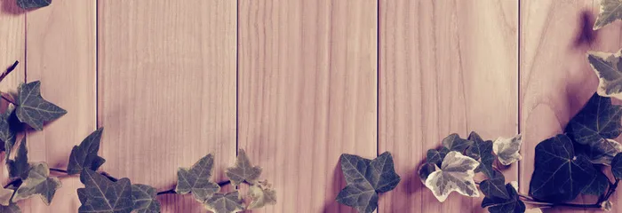 叶子木板高清