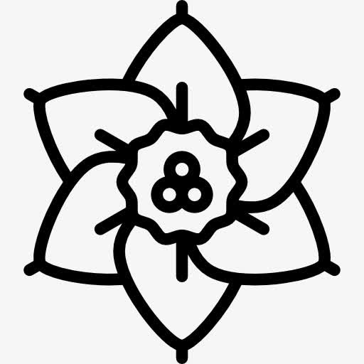 Jonquil 图标免抠