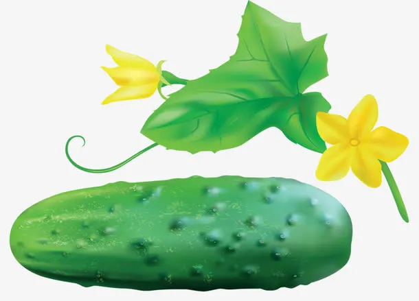小黄瓜免抠