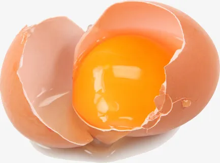 鸡蛋素材免抠