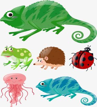 绿色化文蜥蜴免抠