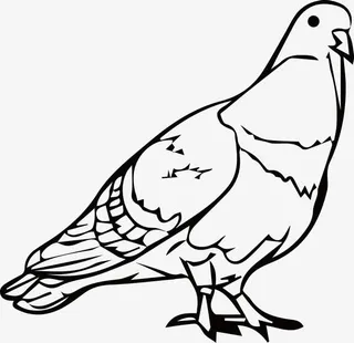 黑色鸽子线稿图素材免抠
