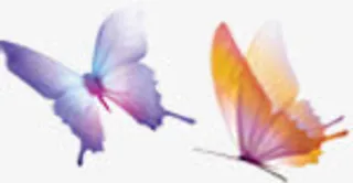 彩色梦幻飞舞蝴蝶免抠