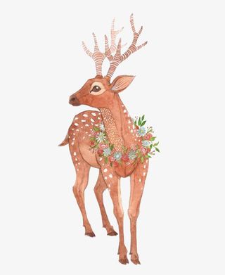 一头梅花鹿手绘插画免抠