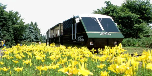 北海道札幌百合之原公园免抠
