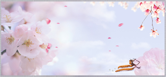 小清新淘宝美妆桃花花瓣创意背景高清