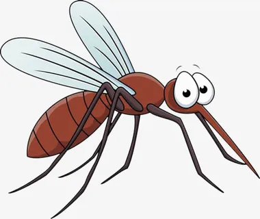 蚊虫图片免抠