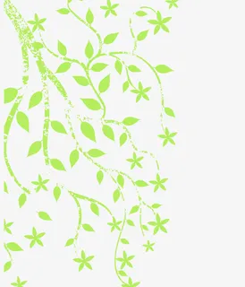 春天的绿色纹理元素免抠