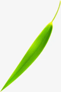 向下飘落绿色竹叶免抠