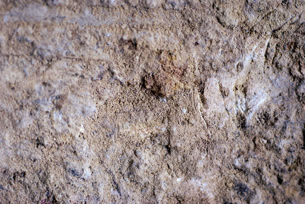 干枯的泥土免抠