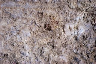 干枯的泥土免抠