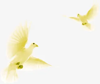 布拉格广场上的白鸽飞舞免抠